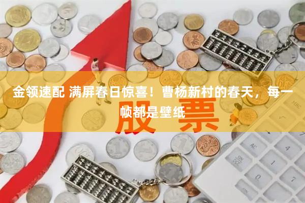 金领速配 满屏春日惊喜！曹杨新村的春天，每一帧都是壁纸